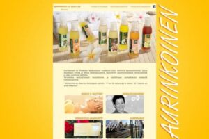 Kauneushoitola Aurinkoinen